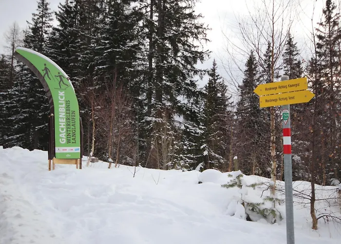 Isiliving By Interhome Alterzoll